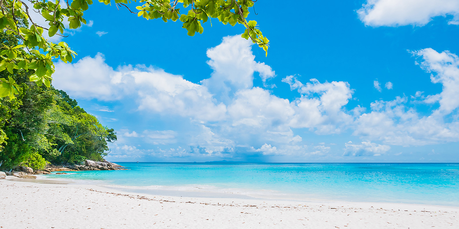 Coconut Island Slide