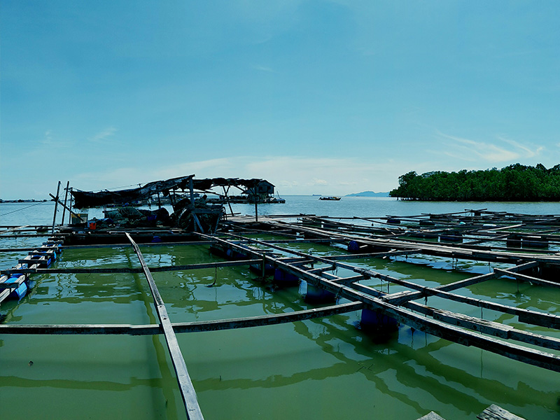 Local Lifestyle & Community