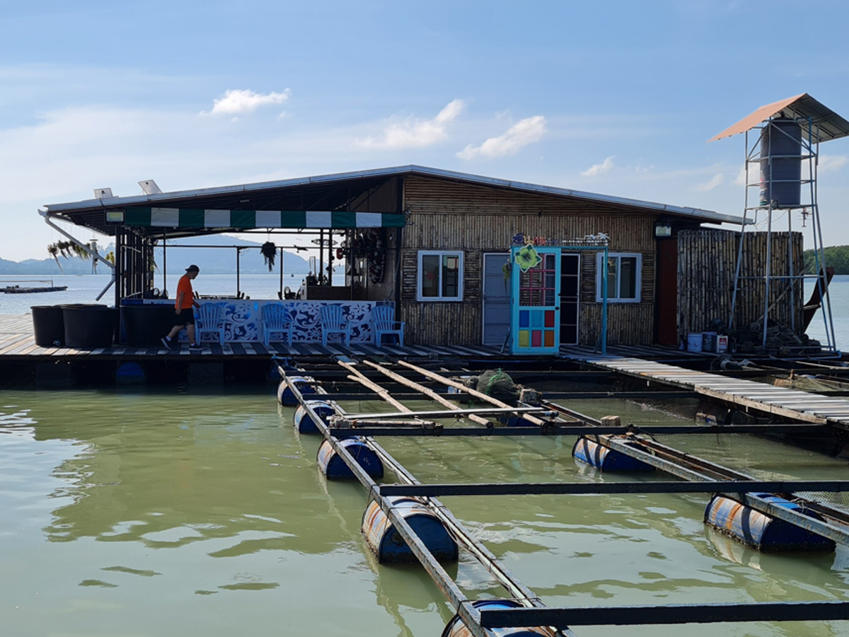 Oyster & Fish Farming
