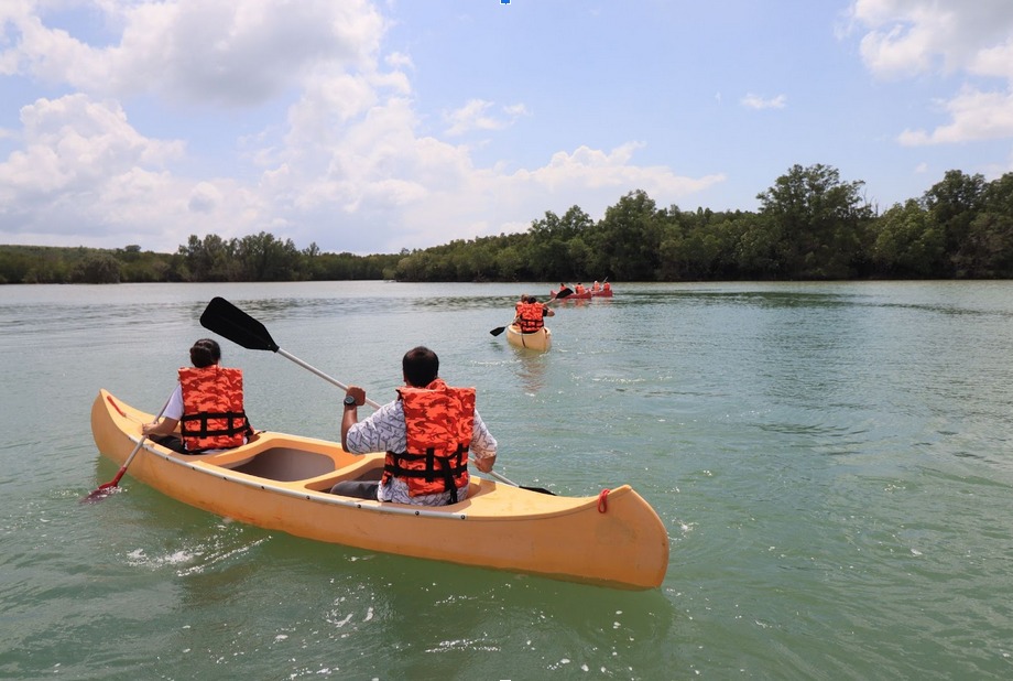 Kayaking & <br>Paddleboarding